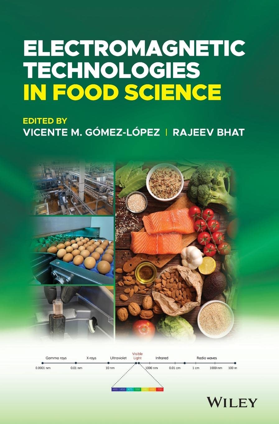 Electromagnetic Technologies in Food Science 1st Edition